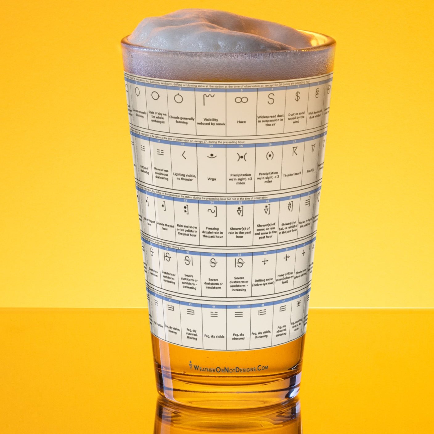 Synoptic Weather Symbols Pint Glass