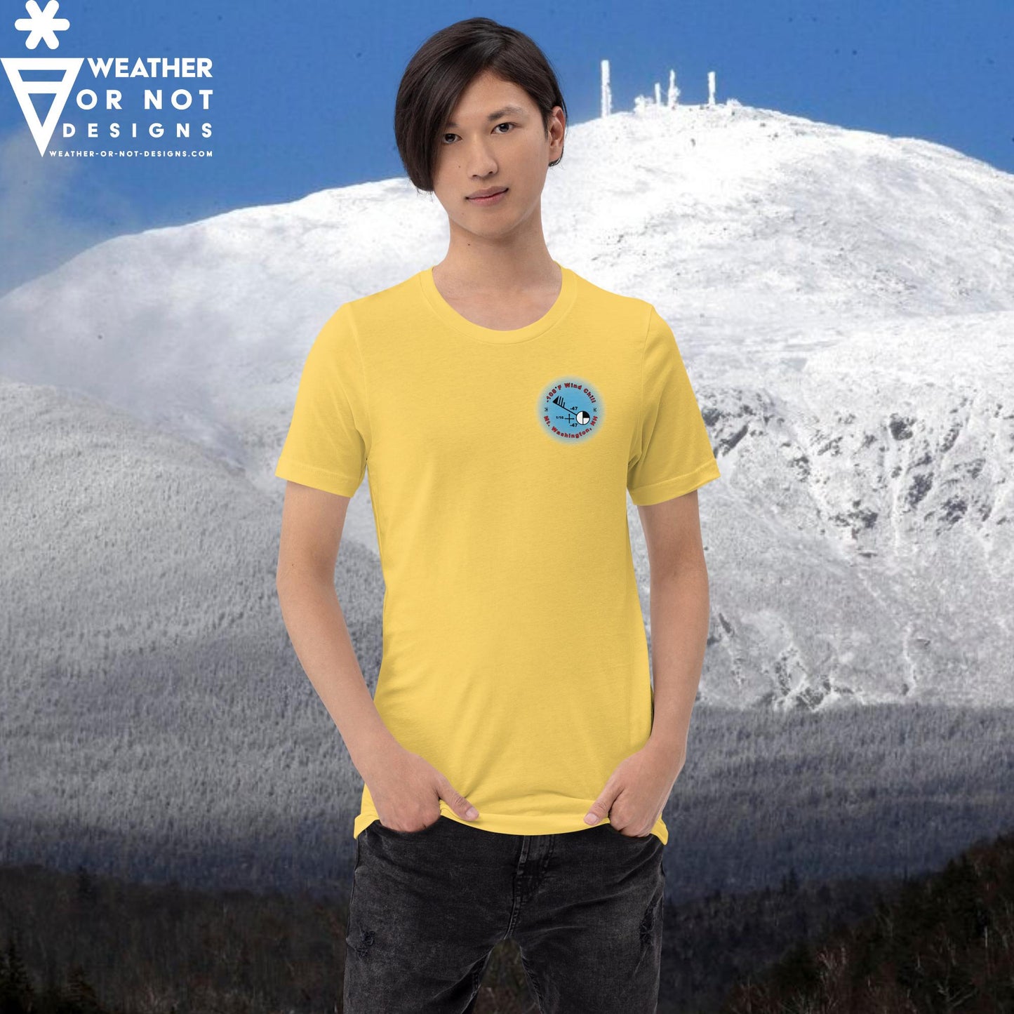 -108˚F WIND CHILL Mt. Washington, NH (back) T-shirt