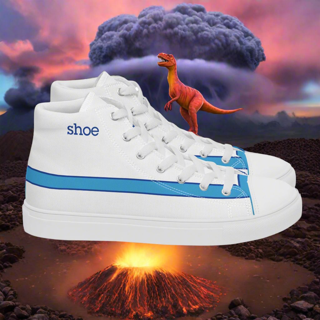 Women’s high top canvas shoes - The Nondescript Collection fnar